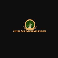 Low-Cost Car Insurance Virginia Beach image 1